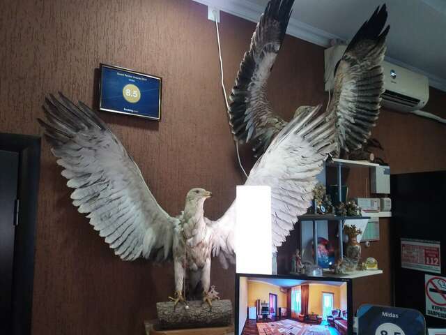 Гостиница Мидас Керчь-42